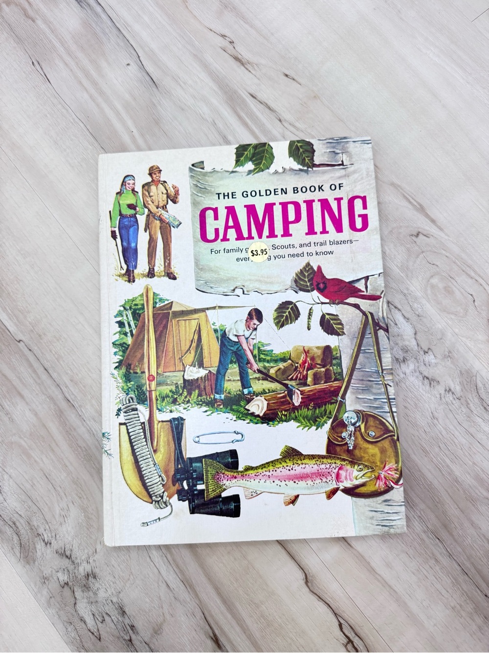 Golden Press The Golden Book of Camping